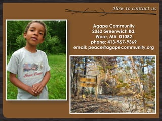 How to contact us

Agape Community
2062 Greenwich Rd.
Ware, MA 01082
phone: 413-967-9369
email: peace@agapecommunity.org

 