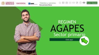 AGAPES
REGIMEN
Sector primario
Click aquí
 