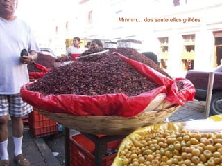 Mmmm… des sauterelles grillées 