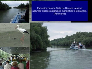 Excursion dans le Delta du Danube, réserve naturelle classée patrimoine mondial de la Biosphère. (Roumanie) 