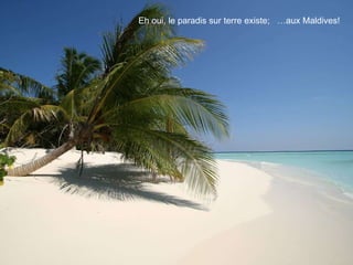 Eh oui, le paradis sur terre existe;  …aux Maldives! 