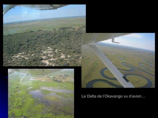 Le Delta de l’Okavango vu d’avion… 