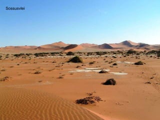 Sossusvlei 