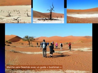 Marche vers Deadvlei avec un guide « bushiman » 