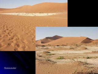 Sossusvlei 