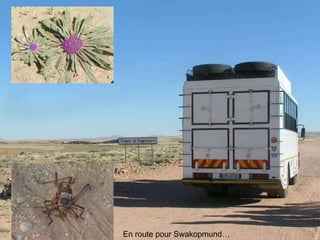 En route pour Swakopmund… 