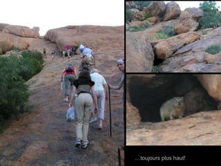 … toujours plus haut! 