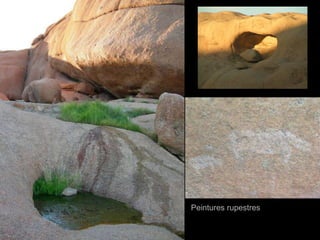 Peintures rupestres 