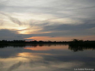 La rivière Kavango 