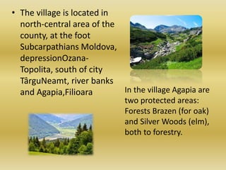 • The village is located in
north-central area of the
county, at the foot
Subcarpathians Moldova,
depressionOzana-
Topolita, south of city
TârguNeamt, river banks
and Agapia,Filioara In the village Agapia are
two protected areas:
Forests Brazen (for oak)
and Silver Woods (elm),
both to forestry.
 