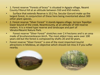 • 1. Forest reserve "Forests of brass" is situated in Agapia village, Neamt
County Filiorul hill at an altitude between 550 and 650 meters.
• Surface that extends Reserve is 10.2 ha. Secular Gorunii make up the
largest forest, In conjunction of these here being inventoried about 300
other plant species.
• 2. Forest reserve “Silver Forest” it stands Agapia village, terrace Topoliţei
lower bound of the creek, Neamtcounty, at an altitude of 540 reserve
meters. It is a mixed type reserve and landscape and part of
VânatoriNeamt Nature Park.
• Forest reserve “Silver Forest” stretches over 2.4 hectares and is an area
made of brushesmesteacan.birch. The most oldest trees were over 100
years old but the forest is composed by shafts 20 and 50 years.
• Forest reserve “Silver Forest” is one of the most important tourist
attractions in Moldova, an objective which should not miss it if you suffer
nearby.
 