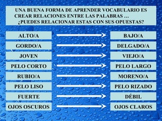 UNA BUENA FORMA DE APRENDER VOCABULARIO ES
 CREAR RELACIONES ENTRE LAS PALABRAS …
  ¿PUEDES RELACIONAR ESTAS CON SUS OPUESTAS?

   ALTO/A                           BAJO/A
  GORDO/A                         DELGADO/A
   JOVEN                            VIEJO/A
PELO CORTO                       PELO LARGO
  RUBIO/A                         MORENO/A
 PELO LISO                       PELO RIZADO
  FUERTE                            DÉBIL
OJOS OSCUROS                     OJOS CLAROS
 