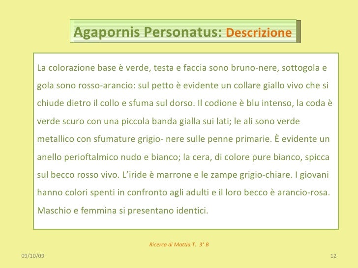 Acido borico per la persona che candeggia