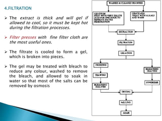 4.FILTRATION
 The extract is thick and will gel if
allowed to cool, so it must be kept hot
during the filtration processes.
 Filter presses with fine filter cloth are
the most useful ones.
 The filtrate is cooled to form a gel,
which is broken into pieces.
 The gel may be treated with bleach to
reduce any colour, washed to remove
the bleach, and allowed to soak in
water so that most of the salts can be
removed by osmosis
 
