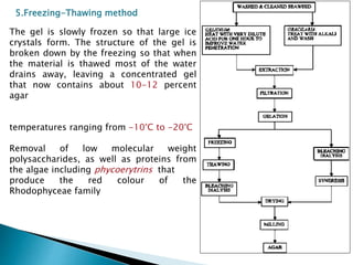 5.Freezing-Thawing method
The gel is slowly frozen so that large ice
crystals form. The structure of the gel is
broken down by the freezing so that when
the material is thawed most of the water
drains away, leaving a concentrated gel
that now contains about 10-12 percent
agar
temperatures ranging from -10°C to -20°C
Removal of low molecular weight
polysaccharides, as well as proteins from
the algae including phycoerytrins that
produce the red colour of the
Rhodophyceae family
 