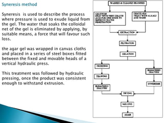 Syneresis method
Syneresis is used to describe the process
where pressure is used to exude liquid from
the gel. The water that soaks the colloidal
net of the gel is eliminated by applying, by
suitable means, a force that will favour such
loss.
the agar gel was wrapped in canvas cloths
and placed in a series of steel boxes fitted
between the fixed and movable heads of a
vertical hydraulic press.
This treatment was followed by hydraulic
pressing, once the product was consistent
enough to withstand extrusion.
 