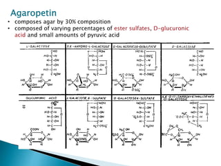Agaropetin
• composes agar by 30% composition
• composed of varying percentages of ester sulfates, D-glucuronic
acid and small amounts of pyruvic acid
 