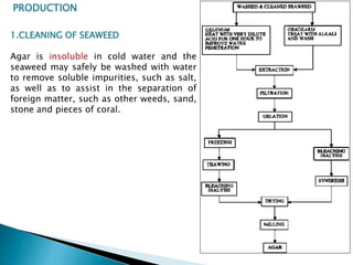 PRODUCTION
1.CLEANING OF SEAWEED
Agar is insoluble in cold water and the
seaweed may safely be washed with water
to remove soluble impurities, such as salt,
as well as to assist in the separation of
foreign matter, such as other weeds, sand,
stone and pieces of coral.
 