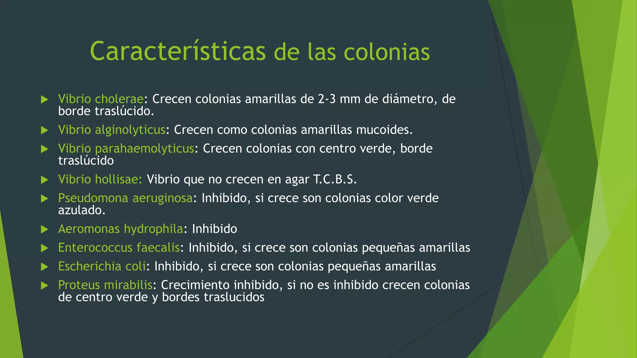 Características de las colonias
 Vibrio cholerae: Crecen colonias amarillas de 2-3 mm de diámetro, de
borde traslúcido.
 Vibrio alginolyticus: Crecen como colonias amarillas mucoides.
 Vibrio parahaemolyticus: Crecen colonias con centro verde, borde
traslúcido
 Vibrio hollisae: Vibrio que no crecen en agar T.C.B.S.
 Pseudomona aeruginosa: Inhibido, si crece son colonias color verde
azulado.
 Aeromonas hydrophila: Inhibido
 Enterococcus faecalis: Inhibido, si crece son colonias pequeñas amarillas
 Escherichia coli: Inhibido, si crece son colonias pequeñas amarillas
 Proteus mirabilis: Crecimiento inhibido, si no es inhibido crecen colonias
de centro verde y bordes traslucidos
 