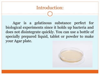 Introduction:
Agar is a gelatinous substance perfect for
biological experiments since it holds up bacteria and
does not disintegrate quickly. You can use a bottle of
specially prepared liquid, tablet or powder to make
your Agar plate.

 