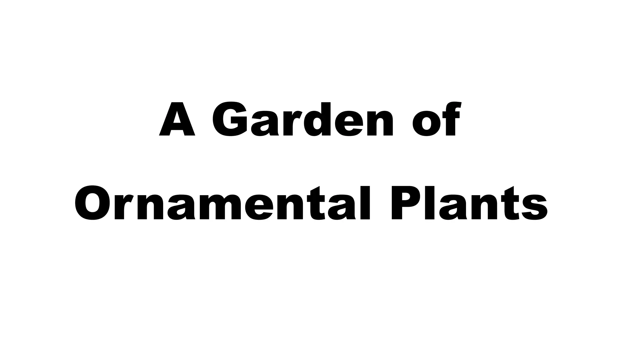 A Garden of Ornamental Plants PPT