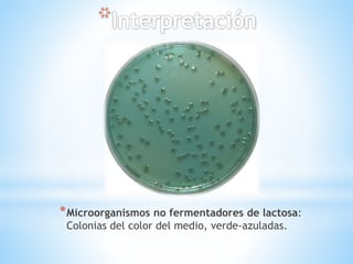 *Microorganismos no fermentadores de lactosa:
Colonias del color del medio, verde-azuladas.
 