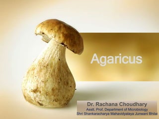 Agaricus
Dr. Rachana Choudhary
Asstt. Prof. Department of Microbiology
Shri Shankaracharya Mahavidyalaya Junwani Bhilai
 