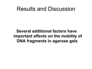 Results and Discussion Several additional factors have important effects on the mobility of DNA fragments in agarose gels   