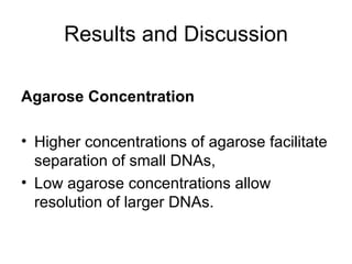 Results and Discussion Agarose Concentration   Higher concentrations of agarose facilitate separation of small DNAs,  Low agarose concentrations allow resolution of larger DNAs.  