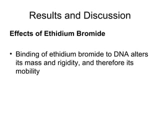 Results and Discussion Effects of Ethidium Bromide   Binding of ethidium bromide to DNA alters its mass and rigidity, and therefore its mobility  