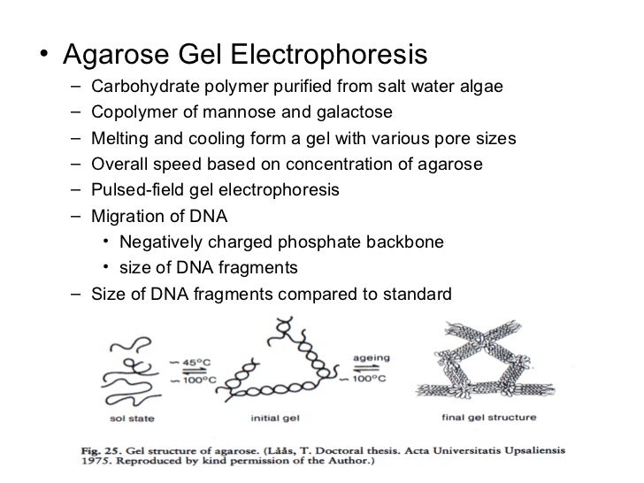 pore salt structure Agarose Gel pore salt structure Agarose Gel