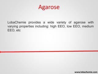 Agarose
LobaChemie provides a wide variety of agarose with
varying properties including: high EEO, low EEO, medium
EEO, etc
www.lobachemie.com
 