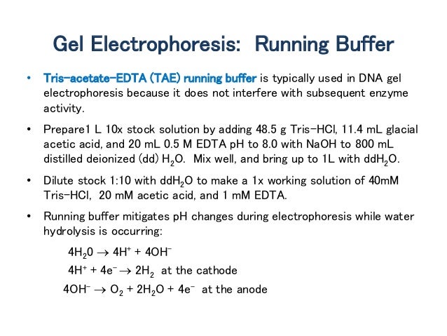 agarose gel electrophoresis acetic acid buffer