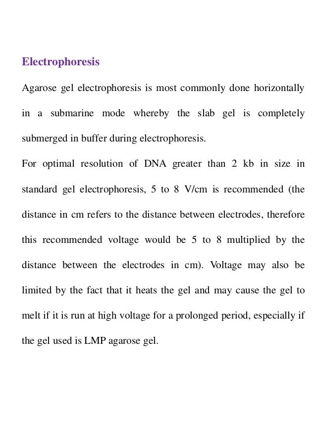 Gel electrophoresis adventure essay picture