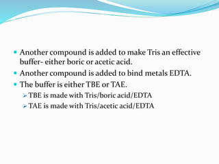  Another compound is added to make Tris an effective
buffer- either boric or acetic acid.
 Another compound is added to bind metals EDTA.
 The buffer is either TBE or TAE.
 TBE is made with Tris/boric acid/EDTA
 TAE is made with Tris/acetic acid/EDTA
 