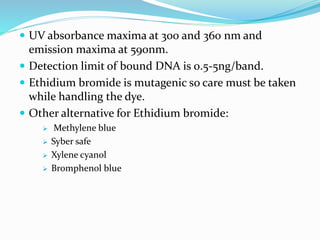  UV absorbance maxima at 300 and 360 nm and
emission maxima at 590nm.
 Detection limit of bound DNA is 0.5-5ng/band.
 Ethidium bromide is mutagenic so care must be taken
while handling the dye.
 Other alternative for Ethidium bromide:
 Methylene blue
 Syber safe
 Xylene cyanol
 Bromphenol blue
 