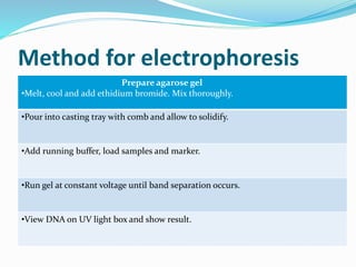 Method for electrophoresis
Prepare agarose gel
•Melt, cool and add ethidium bromide. Mix thoroughly.
•Pour into casting tray with comb and allow to solidify.
•Add running buffer, load samples and marker.
•Run gel at constant voltage until band separation occurs.
•View DNA on UV light box and show result.
 