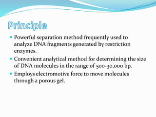  Powerful separation method frequently used to
analyze DNA fragments generated by restriction
enzymes.
 Convenient analytical method for determining the size
of DNA molecules in the range of 500-30,000 bp.
 Employs electromotive force to move molecules
through a porous gel.
 
