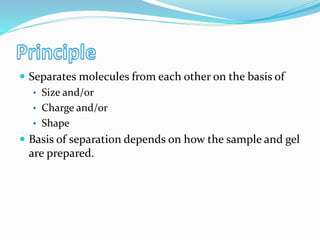  Separates molecules from each other on the basis of
• Size and/or
• Charge and/or
• Shape
 Basis of separation depends on how the sample and gel
are prepared.
 