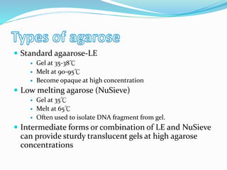  Standard agaarose-LE
 Gel at 35-38℃
 Melt at 90-95℃
 Become opaque at high concentration
 Low melting agarose (NuSieve)
 Gel at 35℃
 Melt at 65℃
 Often used to isolate DNA fragment from gel.
 Intermediate forms or combination of LE and NuSieve
can provide sturdy translucent gels at high agarose
concentrations
 