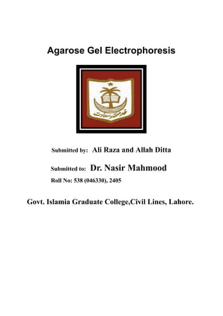 Agarose Gel Electrophoresis
Submitted by: Ali Raza and Allah Ditta
Submitted to: Dr. Nasir Mahmood
Roll No: 538 (046330), 2405
Govt. Islamia Graduate College,Civil Lines, Lahore.
 