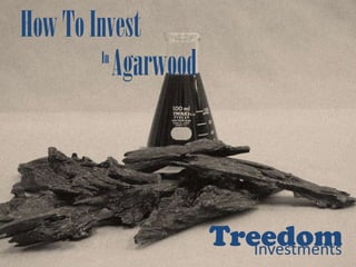 How To Invest
        In
           Agarwood



                      Treedom
                         Investments
 