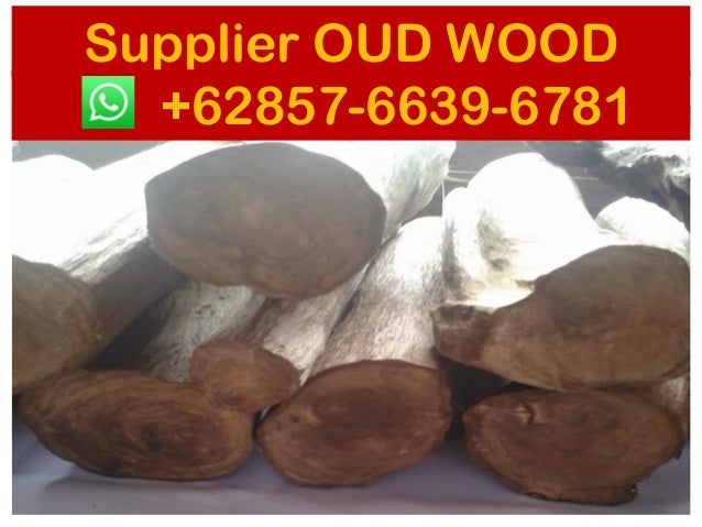 Agarwood Supplier Malaysia的相关搜索 Supplier 62 857 6639 6781 Whatsapp