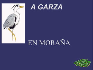 A GARZA




EN MORAÑA
 