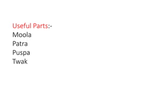 Useful Parts:- 
Moola 
Patra 
Puspa 
Twak 
 