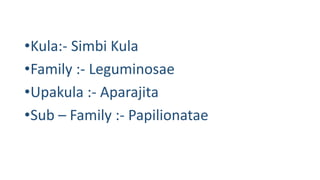 •Kula:- Simbi Kula 
•Family :- Leguminosae 
•Upakula :- Aparajita 
•Sub – Family :- Papilionatae 
 