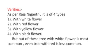 Verities:- 
As per Raja Niganthu it is of 4 types 
1). With white flower 
2). With red flower 
3). With yellow flower 
4). With black flower. 
But out of these tree with white flower is most 
common , even tree with red is less common. 
 