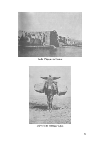 Roda d’água em Hama.




Burrico de carregar água


                           58
 