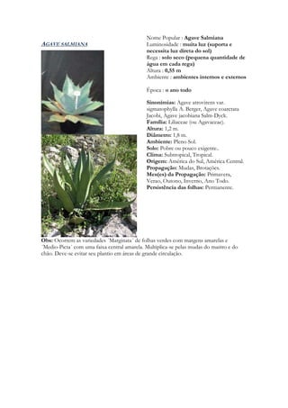 Nome Popular : Agave Salmiana
AGAVE SALMIANA                               Luminosidade : muita luz (suporta e
                                             necessita luz direta do sol)
                                             Rega : solo seco (pequena quantidade de
                                             água em cada rega)
                                             Altura : 0,55 m
                                             Ambiente : ambientes internos e externos

                                             Época : o ano todo

                                             Sinonímias: Agave atrovirens var.
                                             sigmatophylla A. Berger, Agave coarctata
                                             Jacobi, Agave jacobiana Salm-Dyck.
                                             Família: Liliaceae (ou Agavaceae).
                                             Altura: 1,2 m.
                                             Diâmetro: 1,8 m.
                                             Ambiente: Pleno Sol.
                                             Solo: Pobre ou pouco exigente..
                                             Clima: Subtropical, Tropical.
                                             Origem: América do Sul, América Central.
                                             Propagação: Mudas, Brotações.
                                             Mes(es) da Propagação: Primavera,
                                             Verao, Outono, Inverno, Ano Todo.
                                             Persistência das folhas: Permanente.




Obs: Ocorrem as variedades ´Marginata´ de folhas verdes com margens amarelas e
´Medio-Picta´ com uma faixa central amarela. Multiplica-se pelas mudas do mastro e do
chão. Deve-se evitar seu plantio em áreas de grande circulação.
 