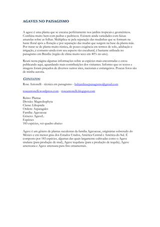 AGAVES NO PAISAGISMO

A agave é uma planta que se encaixa perfeitamente nos jardins tropicais e geométricos.
Combina muito bem com pedras e pedriscos. Existem ainda variedades com faixas
amarelas sobre as folhas. Multiplica-se pela separação das mudinhas que se formam na
haste floral após a floração e por separação das mudas que surgem na base da planta mãe.
Por tratar-se de planta muito rústica, de pouco exigência em termos de solo, adubação e
irrigação, e contanto ainda com seu aspecto tão escultural, é bastante utilizada no
paisagismo em Brasília (região de clima muito seco em 40% no ano).

Reuni nesta página algumas informações sobre as espécies mais encontradas e estou
publicando aqui, aguardando mais contribuições dos visitantes. Informo que os textos e
imagens foram pinçados de diversos outros sites, nacionais e estrangeiros. Poucas fotos são
de minha autoria.

CONTATOS:
Rose Antonelli - técnica em paisagismo - bsbjardinsepaisagismo@gmail.com

roseantonelli.wordpress.com - roseantonelli.blogspot.com

Reino: Plantae
Divisão: Magnoliophyta
Classe: Liliopsida
Ordem: Asparagales
Família: Agavaceae
Género: AgaveL.
Espécies
183 espécies, ver quadro abaixo

Agave é um gênero de plantas suculentas da família Agavaceae, originárias sobretudo do
México e em menor grau dos Estados Unidos, América Central e América do Sul. É
composto por 183 espécies, algumas das quais largamente cultivadas como o Agave
sisalana (para produção de sisal), Agave tequilana (para a produção de tequila), Agave
americana e Agave attenuata para fins ornamentais.
 